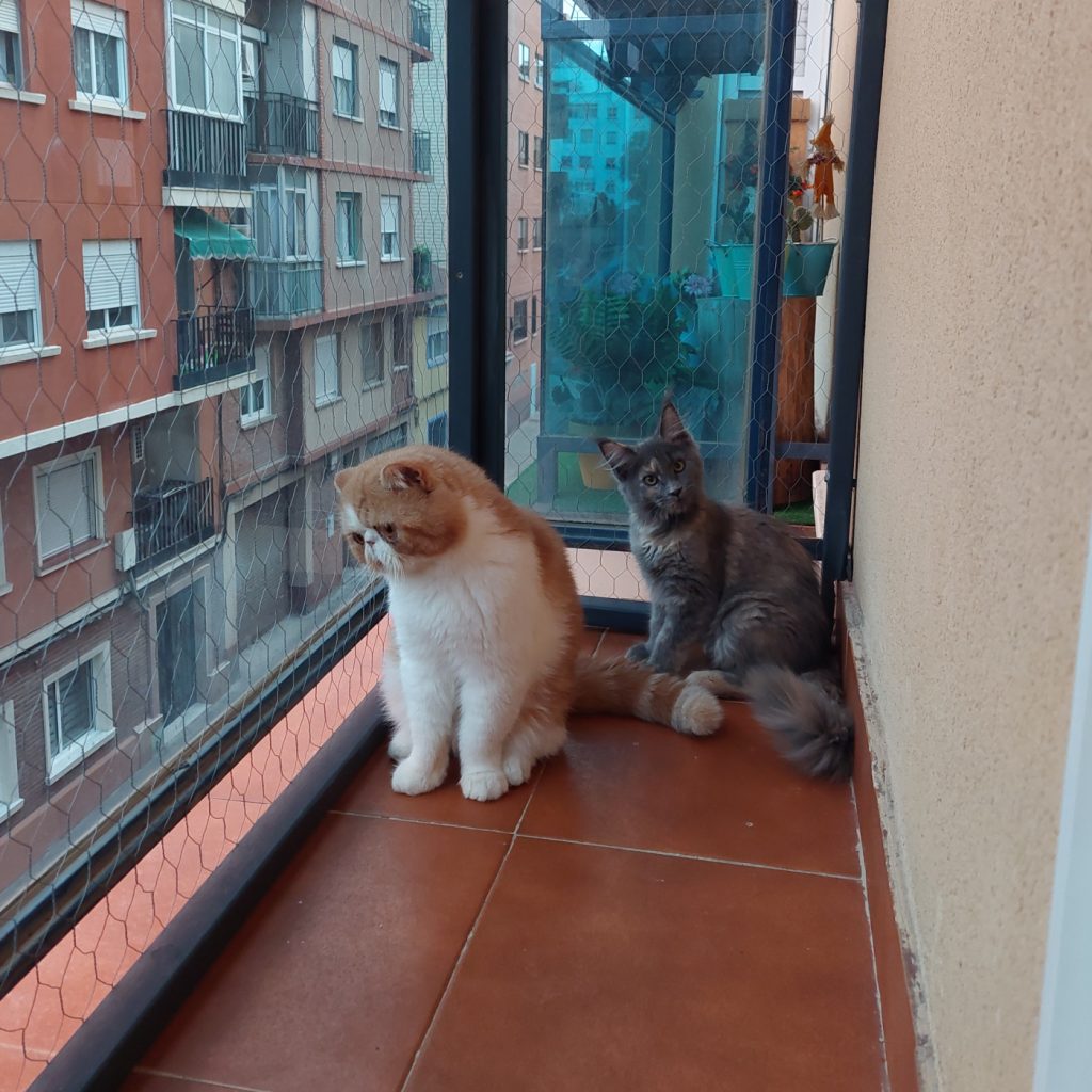 Ceramientos19