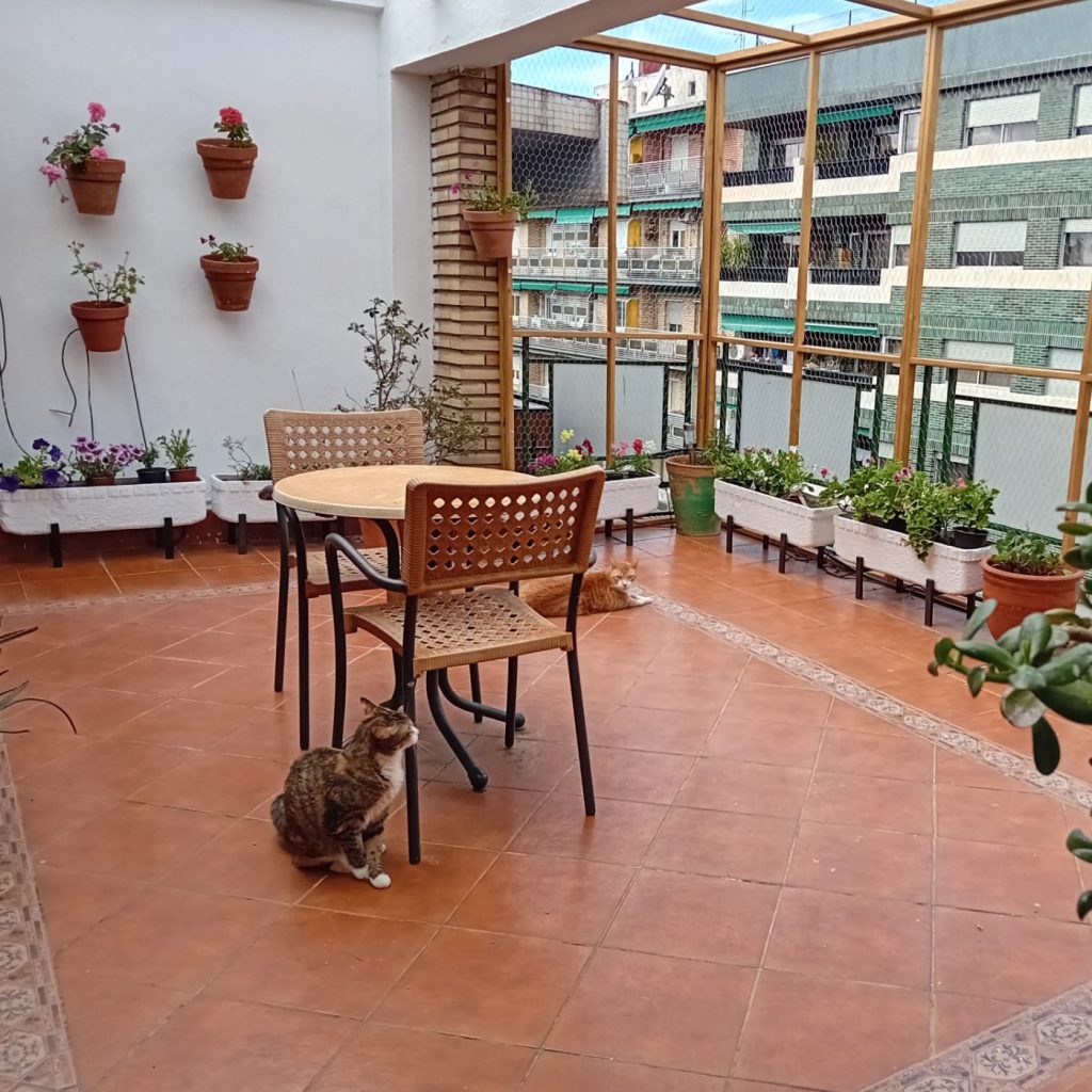 Ceramientos7