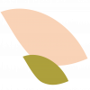 HOJITAS5